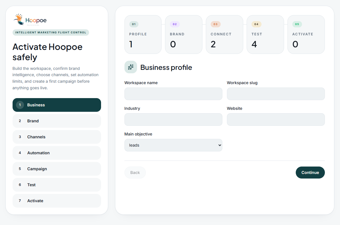 Brand Brain Setup